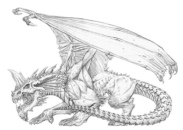 Dragon coloring page adult coloring pages monster coloring pages