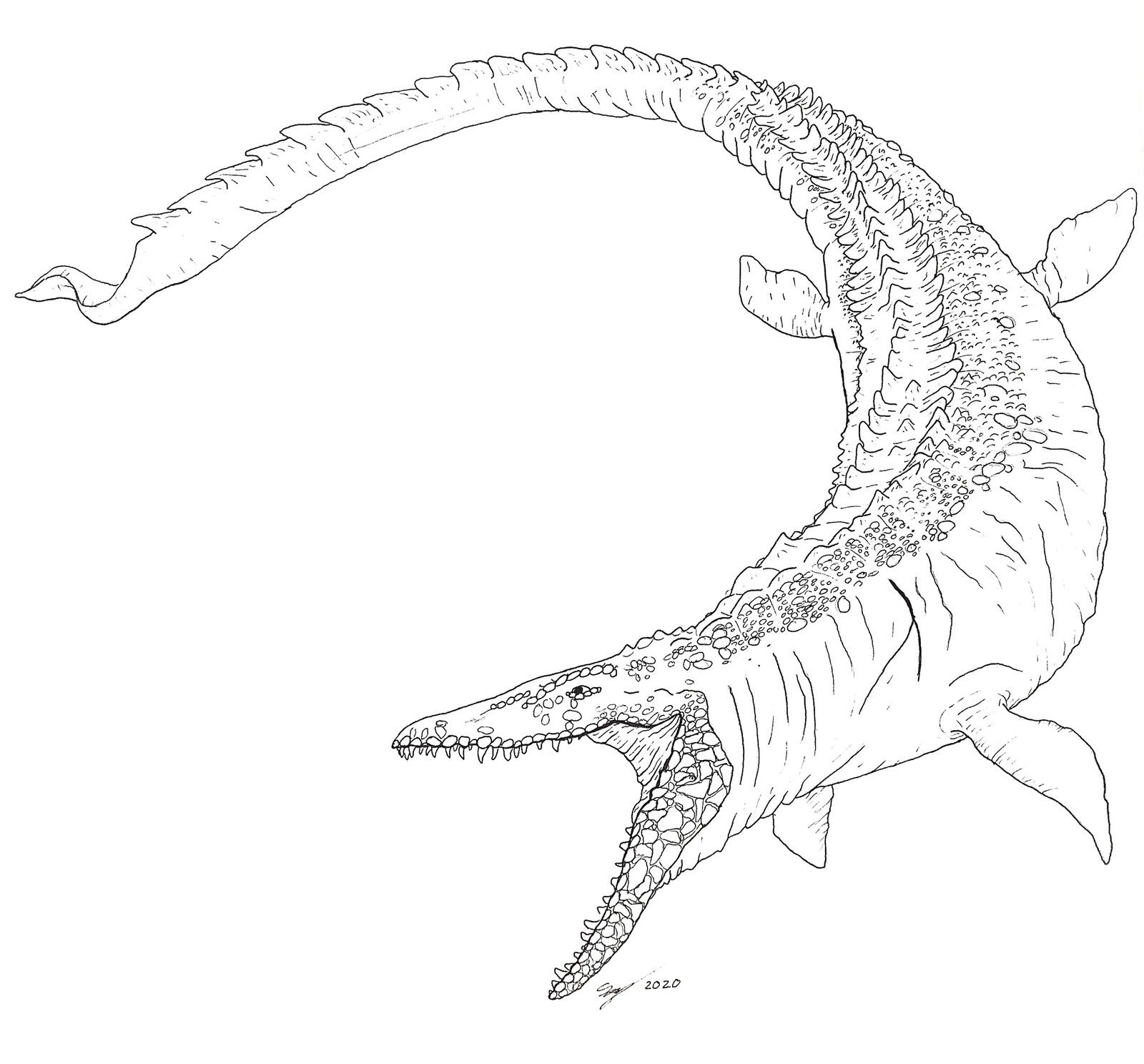 Jw mosasaurus sean kiley on artstation at httpswwwartstationartworkwexq dinosaur coloring pages coloring pages dinosaur drawing