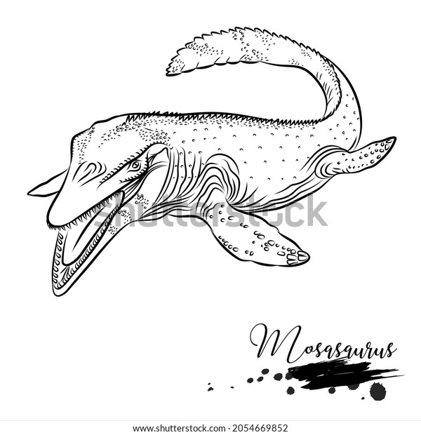 Mosasaurus realistic sketch aquatic dinosaur vector stock vector royalty free