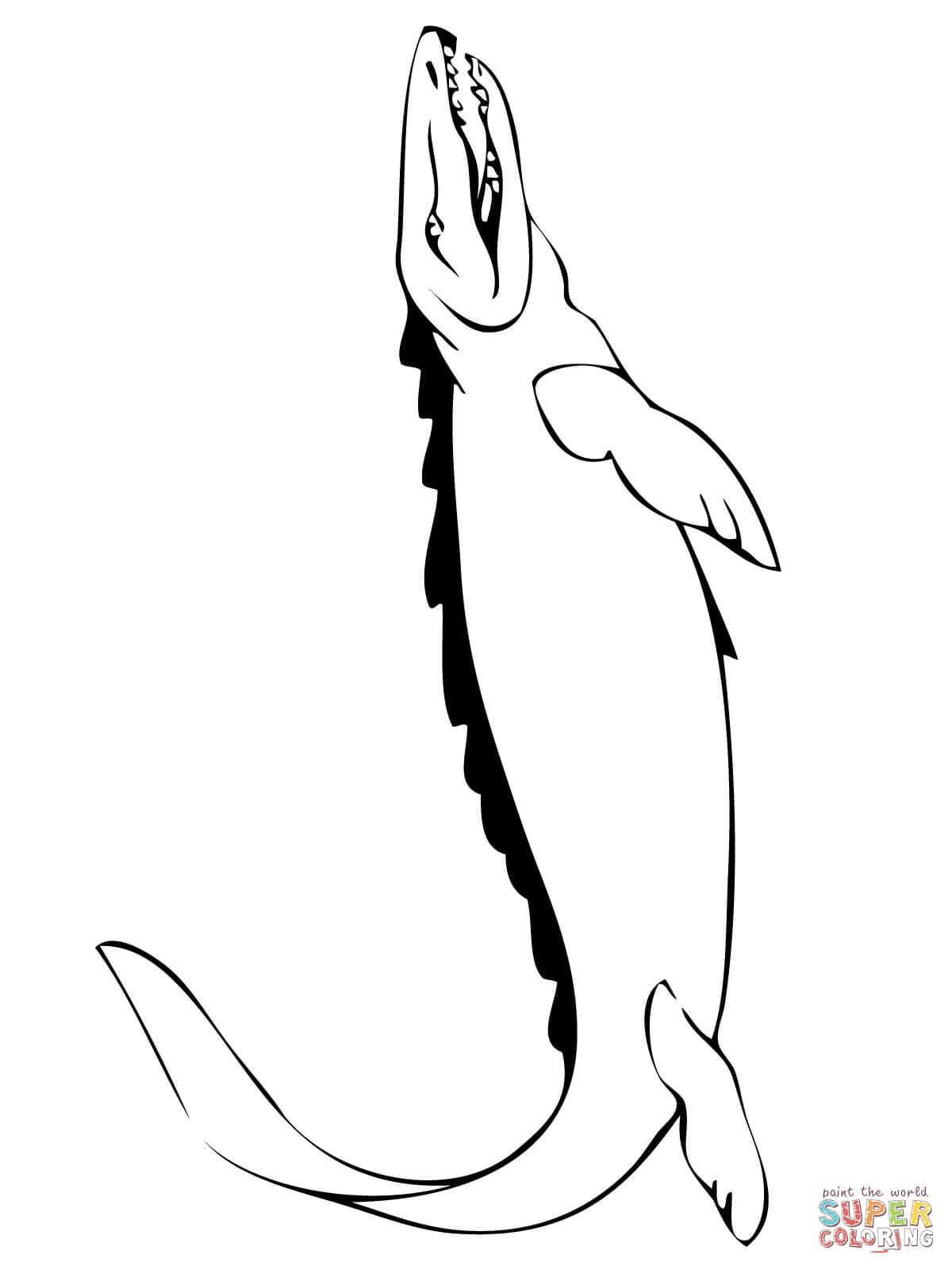 Mosasaur marine reptile of early cretaceous coloring page free printable coloring pages