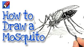 How to draw a osquito real easy