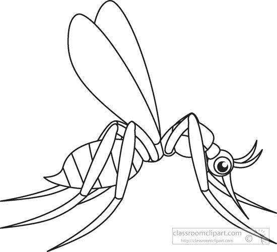 Mosquito coloring pages