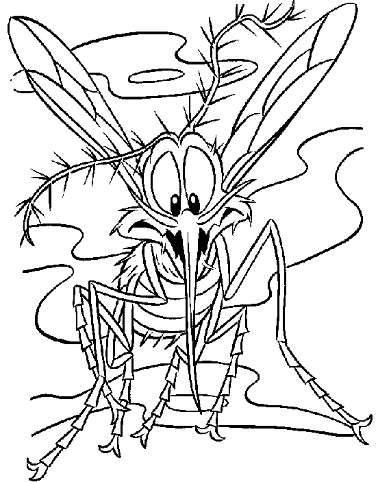 Mosquito coloring pages