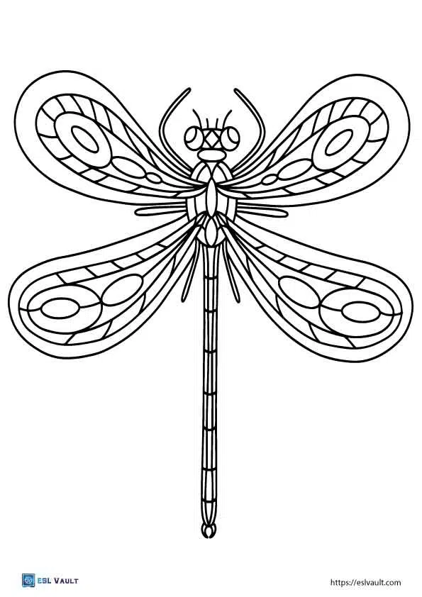 Beautiful dragonfly coloring pages