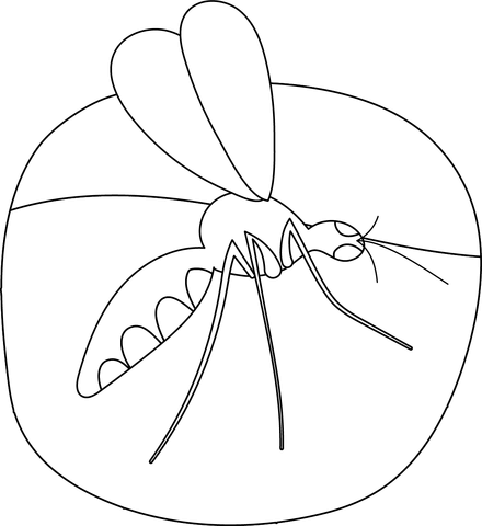 Mosquito coloring pages free coloring pages