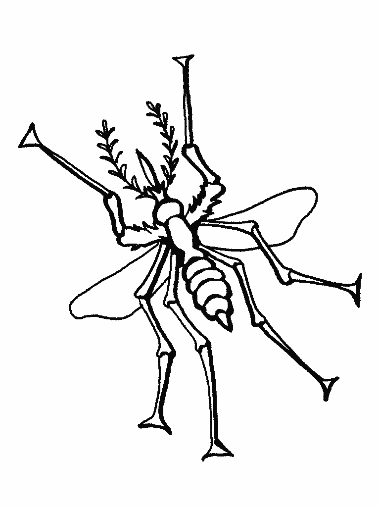 Mosquito coloring pages