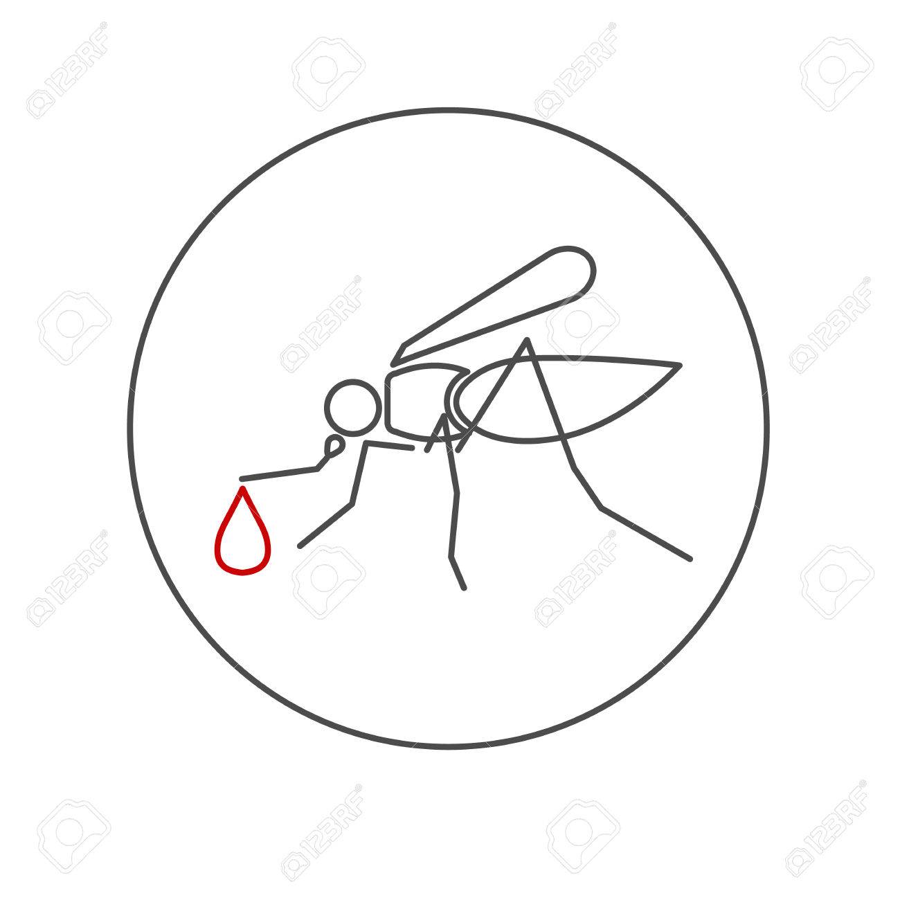 Insect a realistic mosquito culex pipiens mosquito silhouette mosquito isolated on white background mosquito design for coloring book hand