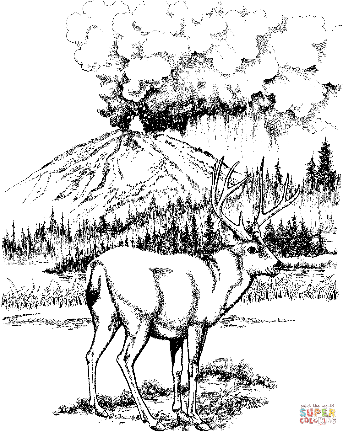 Mule deer in lassen volcanic national park coloring page free printable coloring pages deer coloring pages mule deer coloring pages