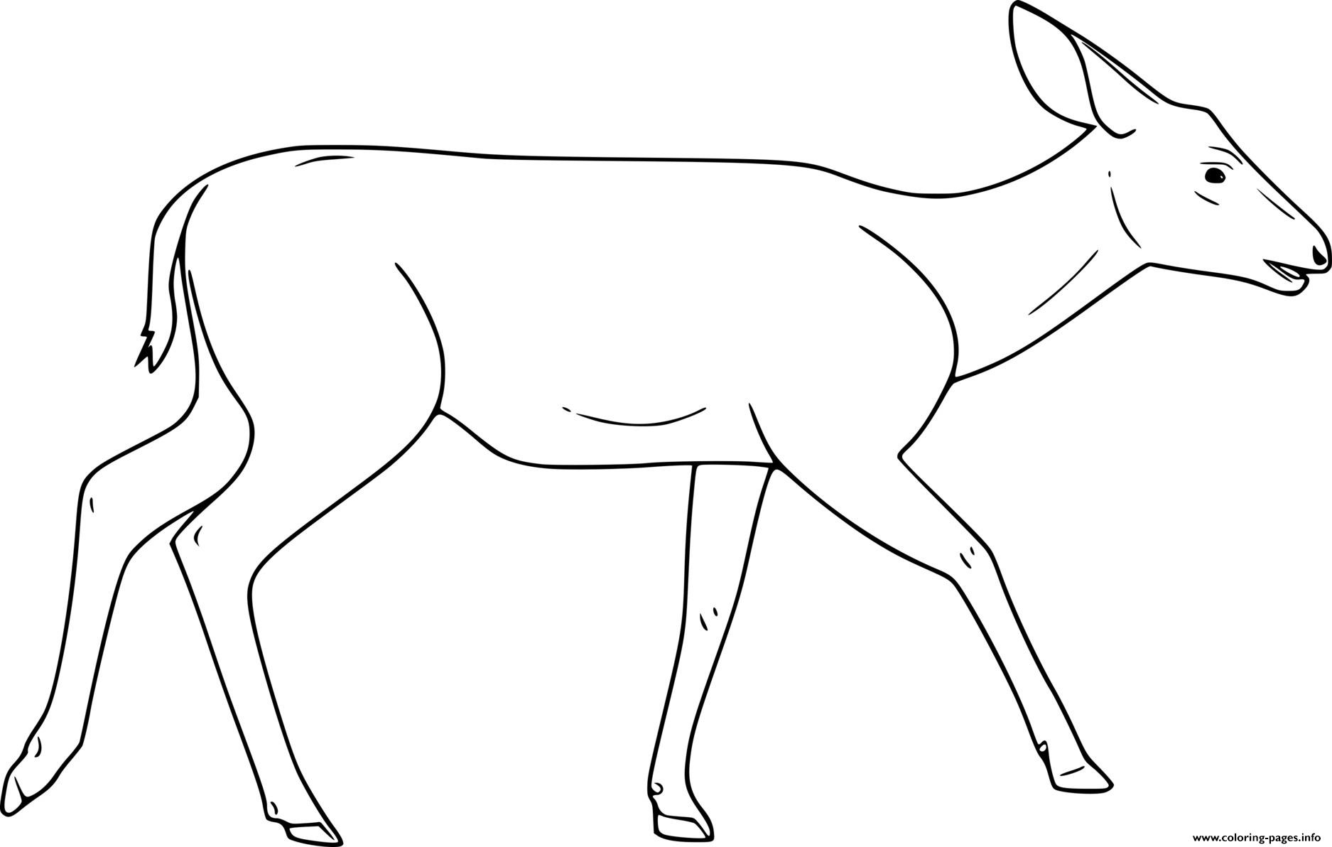 Female mule deer coloring page printable