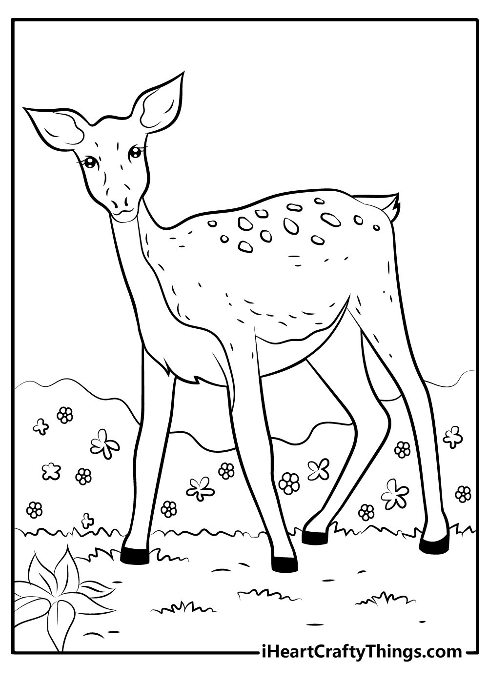 Deer coloring pages free printables