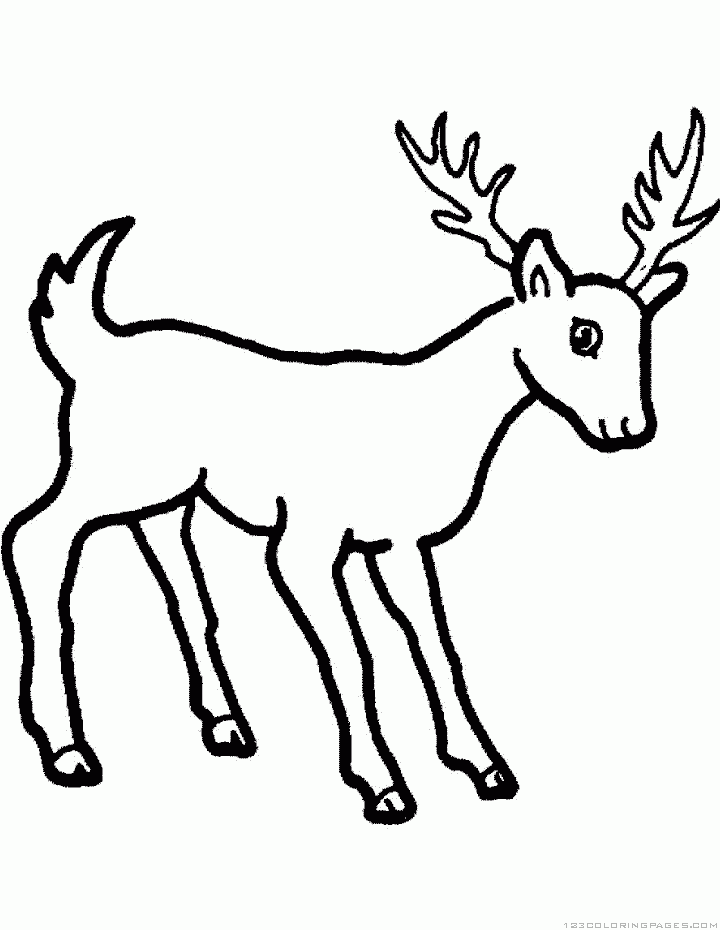 Deer coloring pages