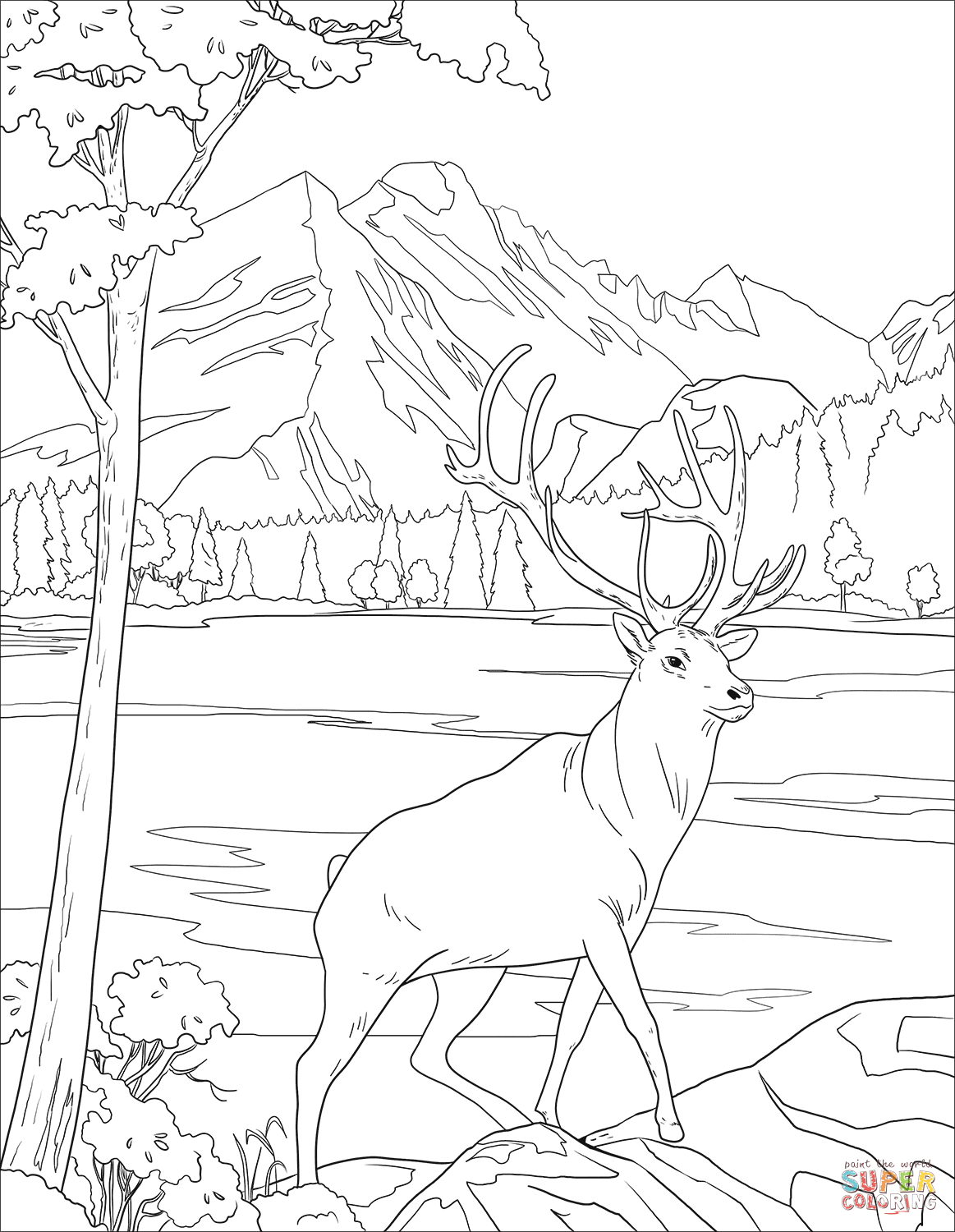 Mule deer coloring page free printable coloring pages