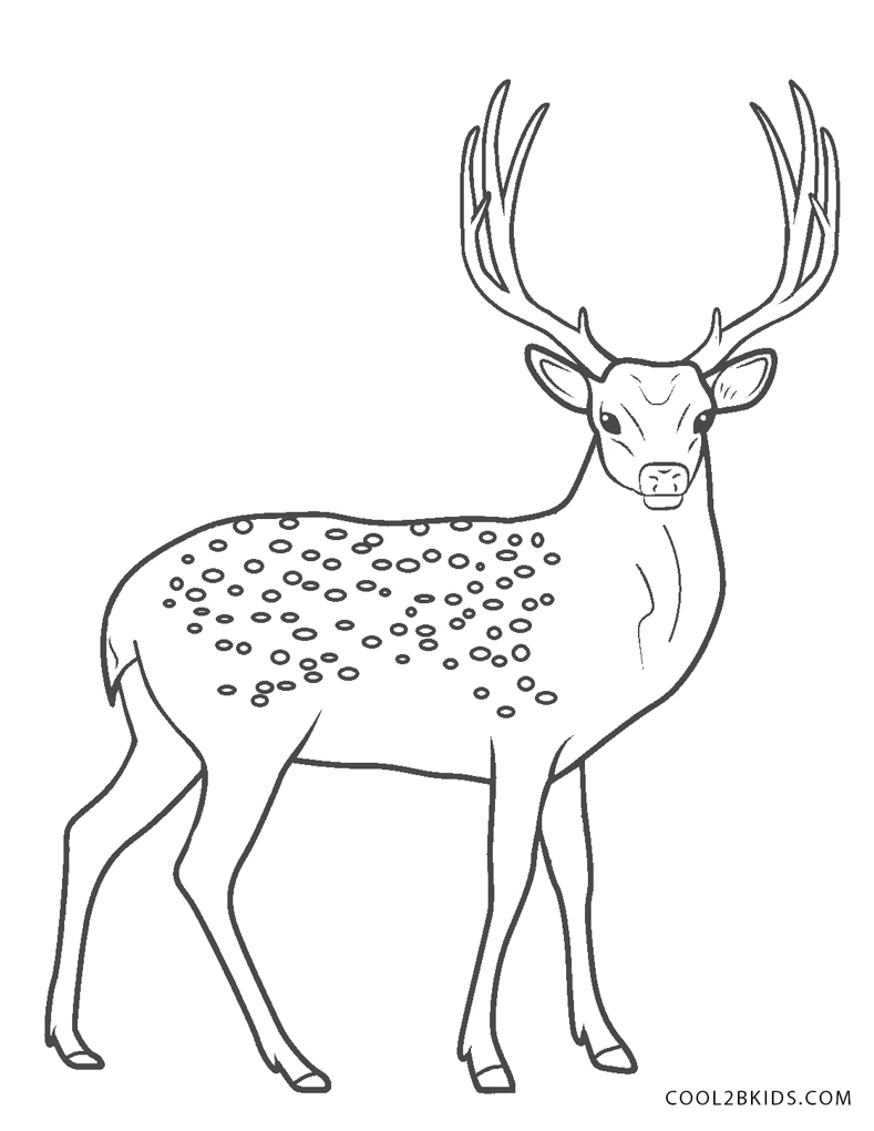 Free printable deer coloring pages for kids