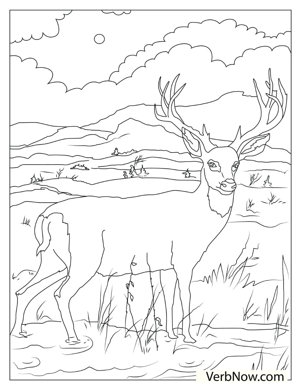 Free deer coloring pages for download printable pdf