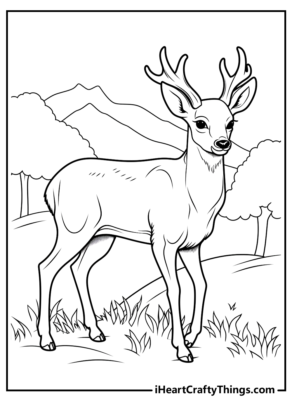 Deer coloring pages free printables