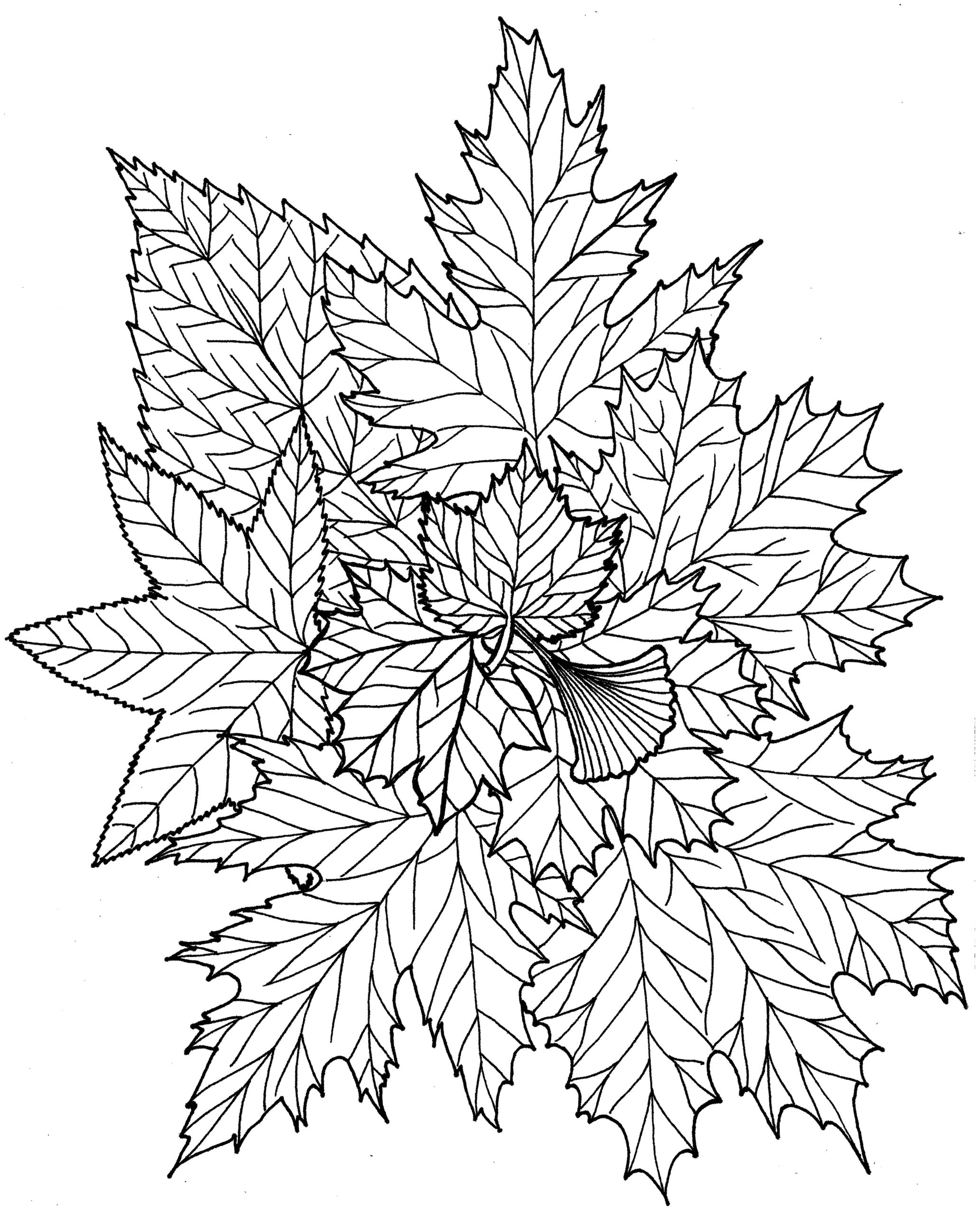 Coloring pages