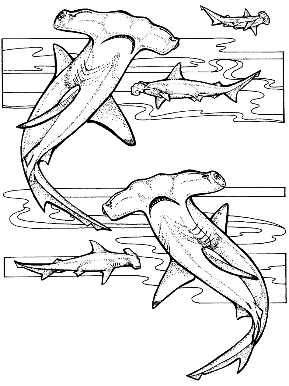 Ocean coloring pages