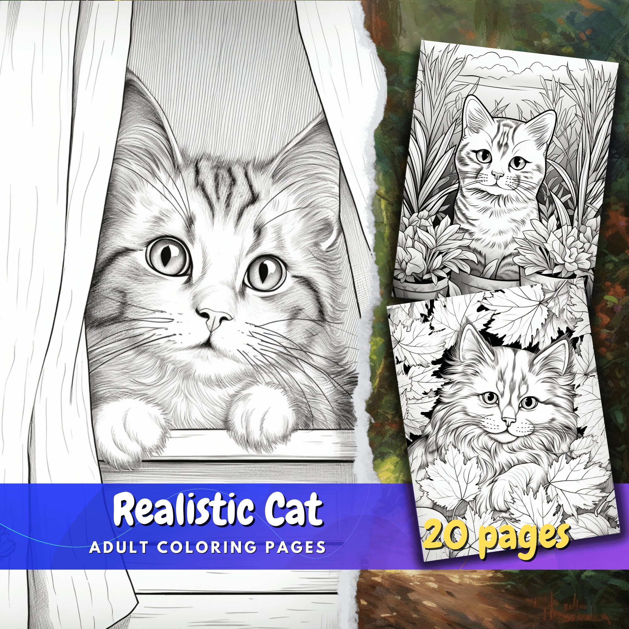 Realistic cat coloring pages instant download digital coloring pages