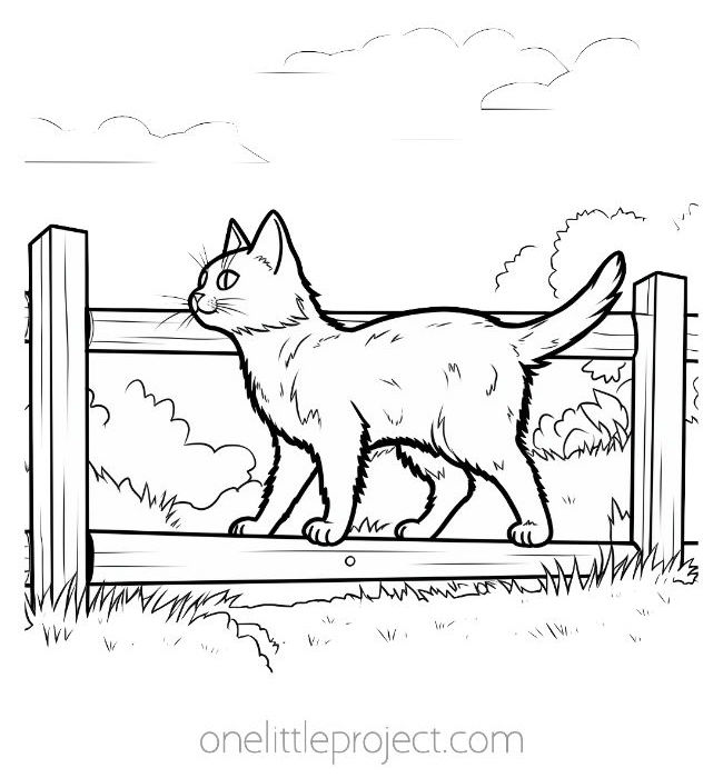 Cat coloring pages free printable kitten coloring sheets