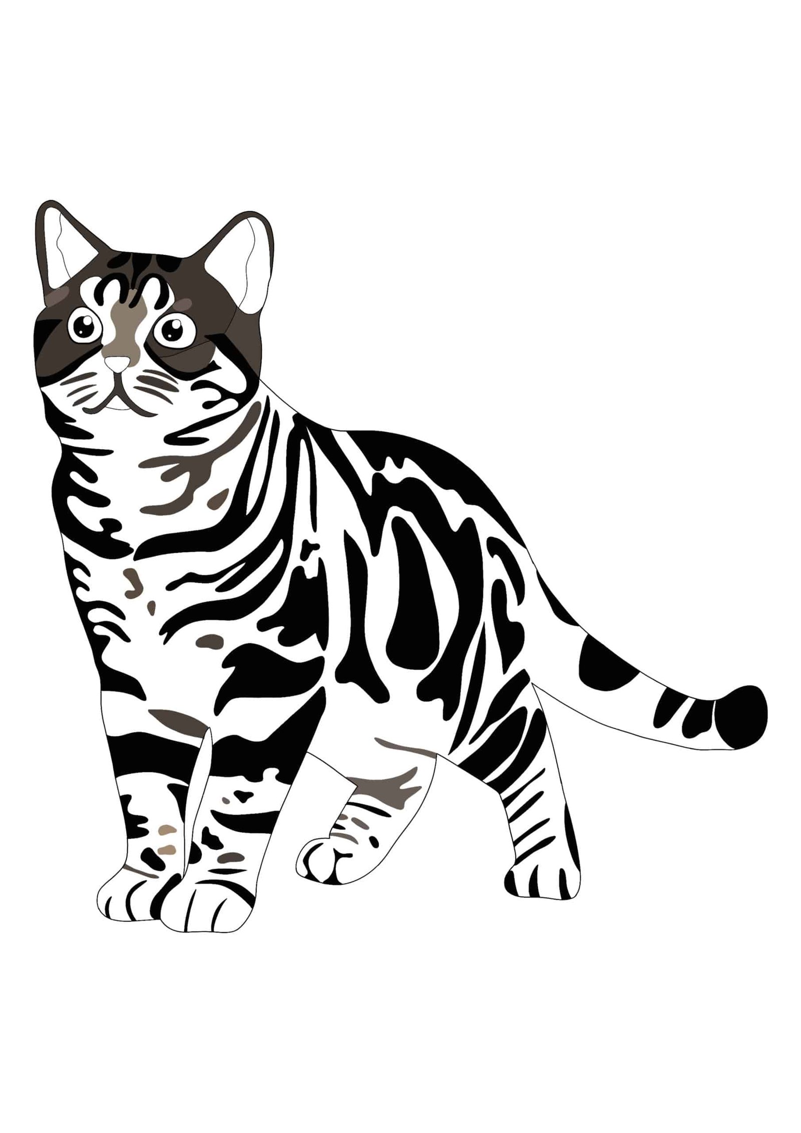 Realistic cat coloring pages
