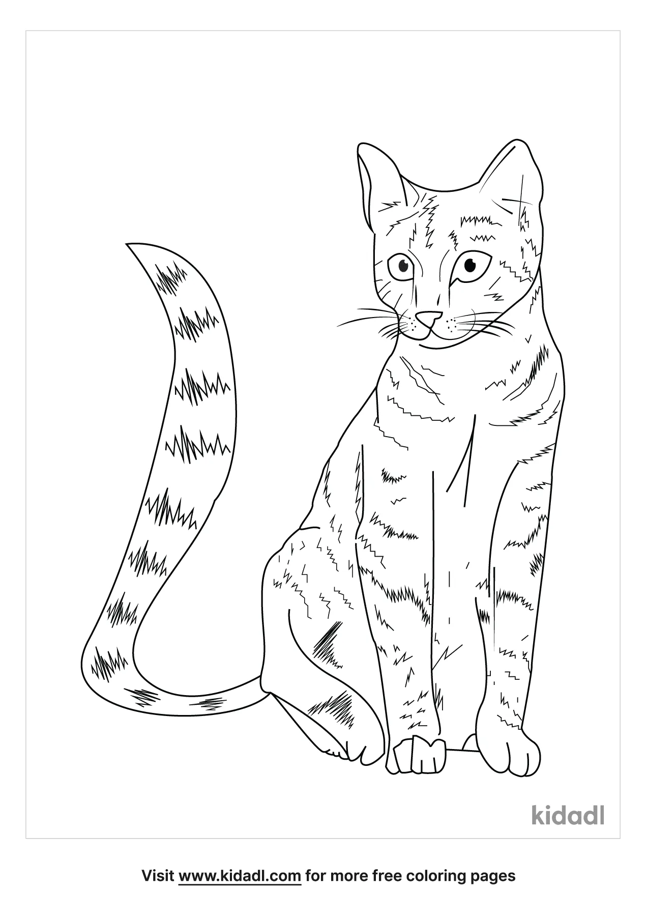 Free realistic cat coloring page coloring page printables