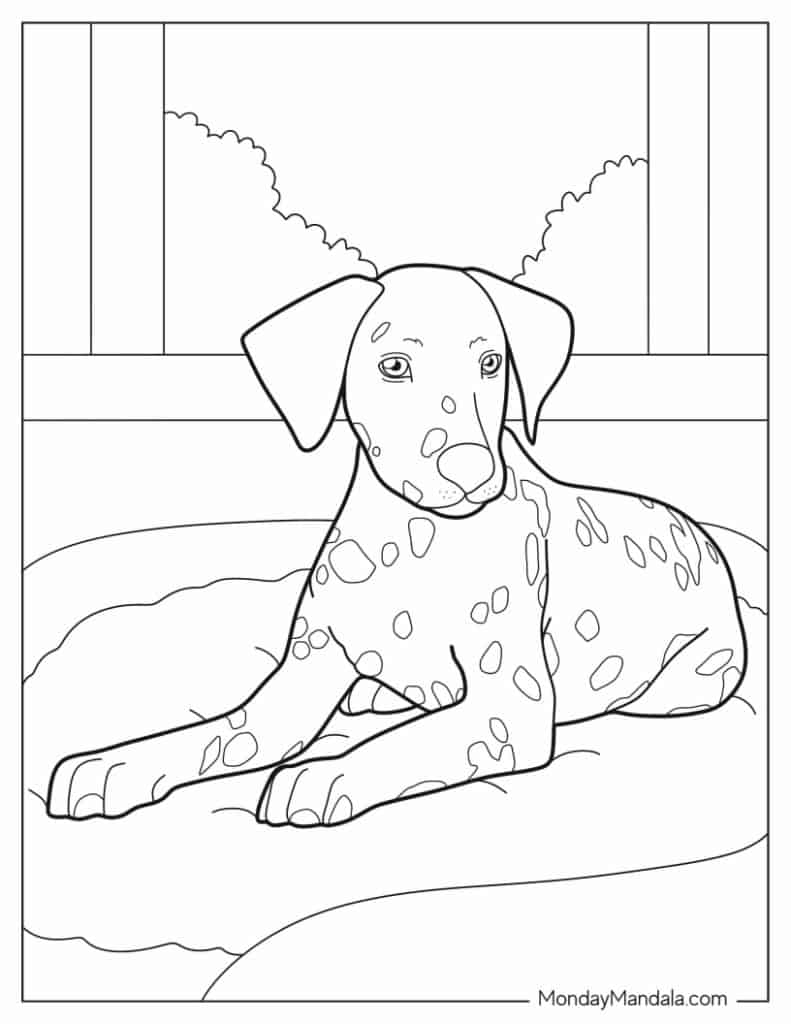 Dog coloring pages free pdf printables