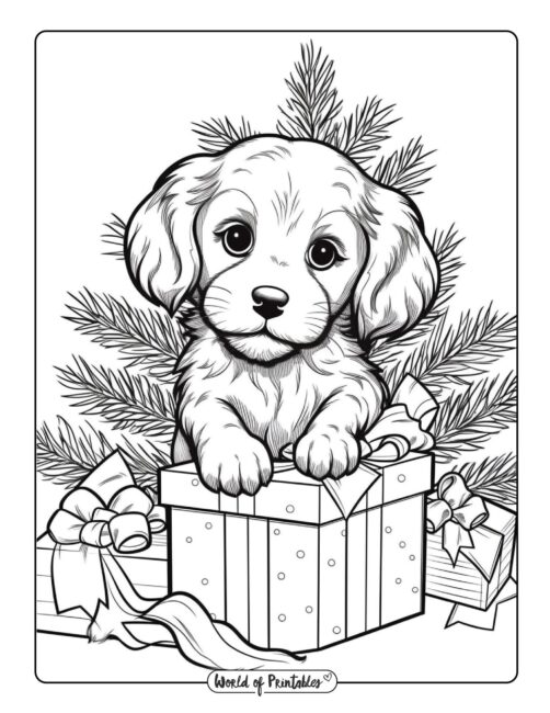 Dog coloring pages for kids adults