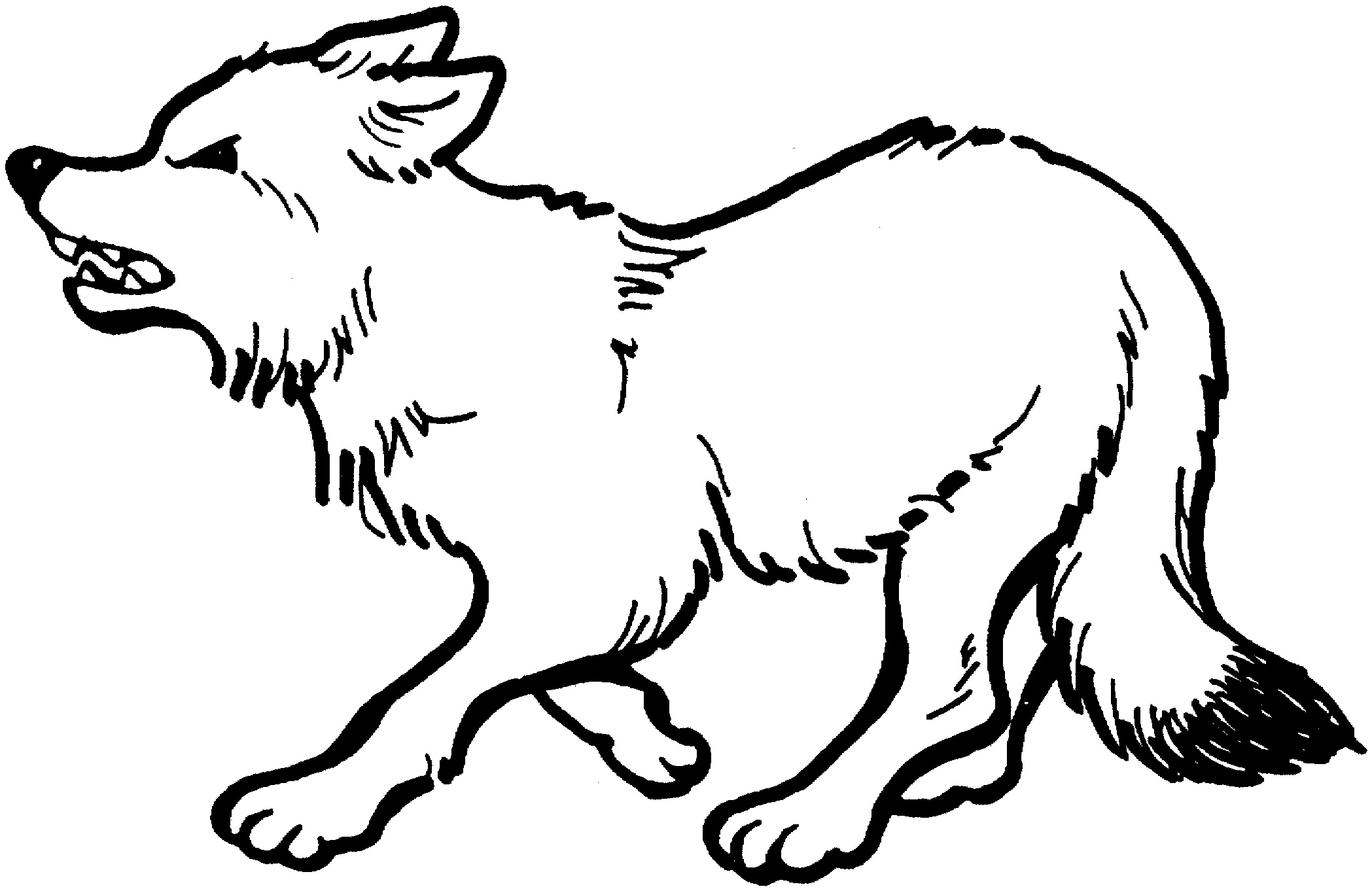 Free printable wolf coloring pages for kids