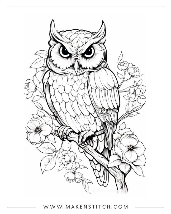 Owls coloring pages for kids and adults