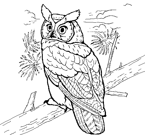 Coloring page great horned owl to color online