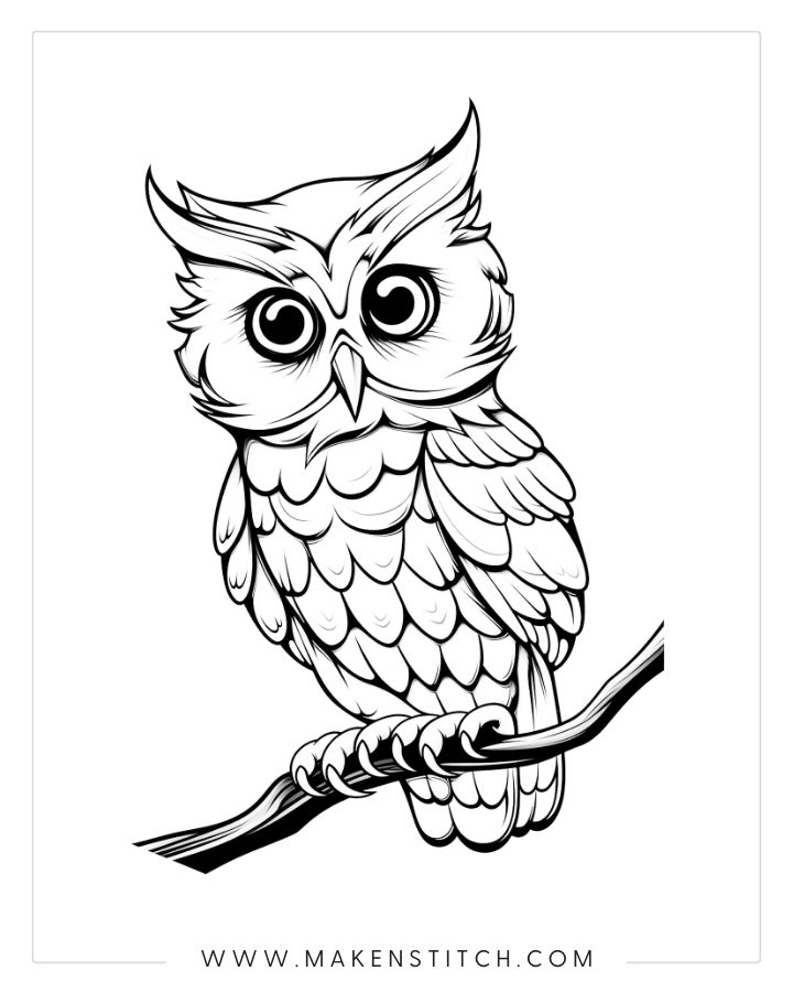 Owls coloring pages for kids and adults