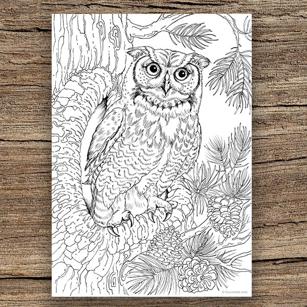 Owl printable adult coloring page from favoreads coloring book pages for adults and kids coloring sheets coloring designs download now