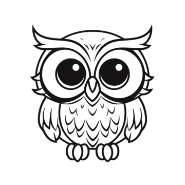 Real owl drawing png transparent images free download vector files