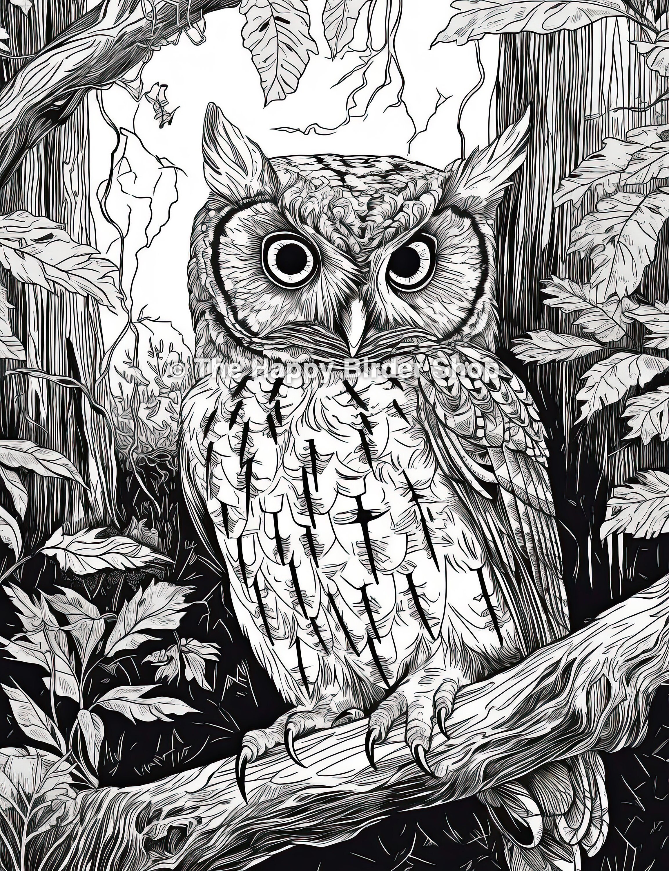 Great horned owl coloring page for owl coloring page for great horned owl adult coloring page for adult