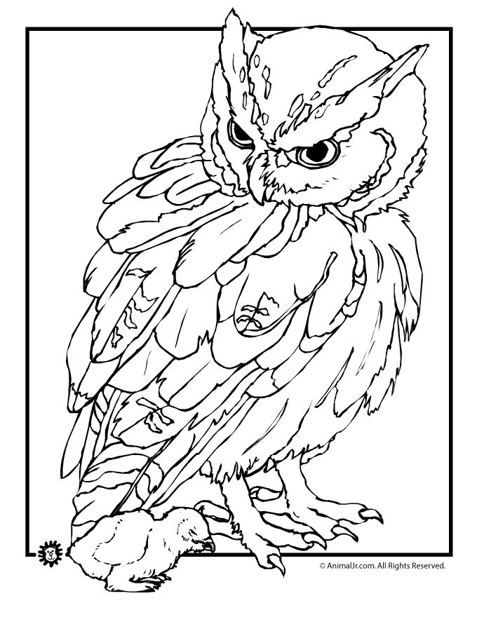 Owl coloring pages free printables owl coloring pages realistic owl and baby coloring page â aâ owl coloring pages animal coloring pages animal coloring books