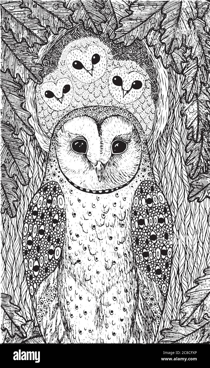 Coloring page for adults with owls on the oak tree realistic in stock vector image art