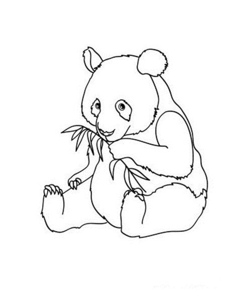 Cute baby panda coloring pages for kids disney coloring pages panda para colorear animales salvajes para colorear osos pandas dibujo