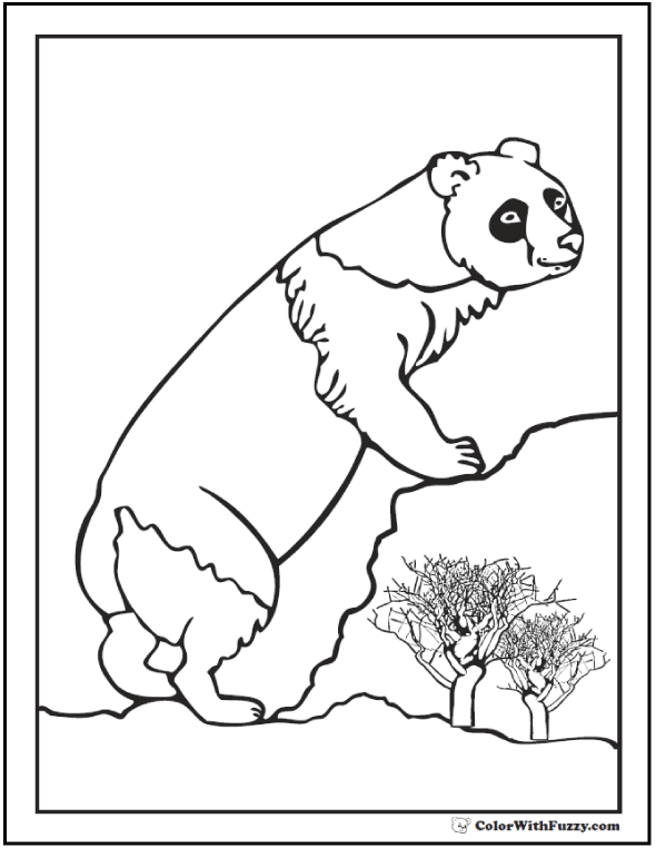 Panda coloring pages bamboo and baby pandas