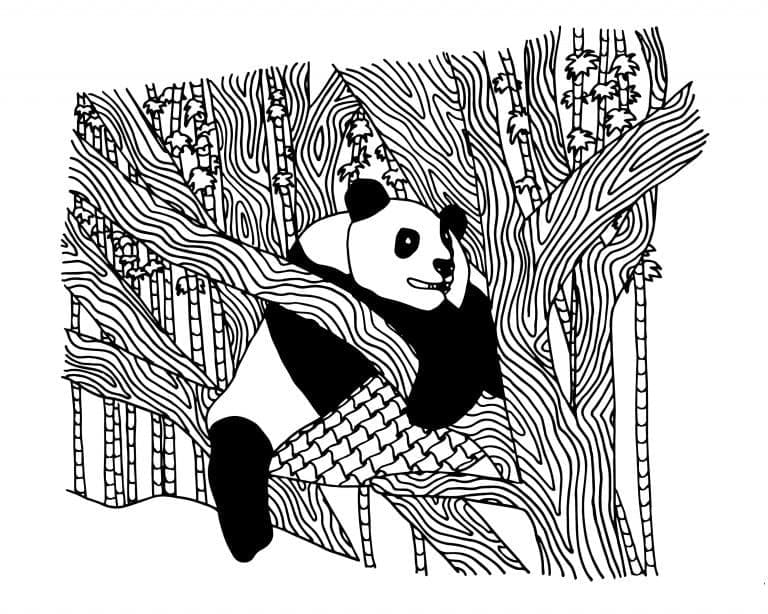 Panda on the tree coloring page