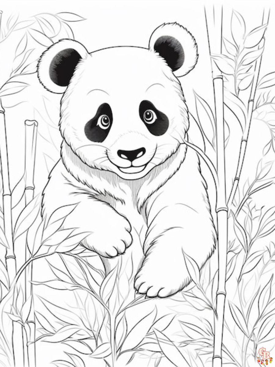 Discover the panda coloring pages