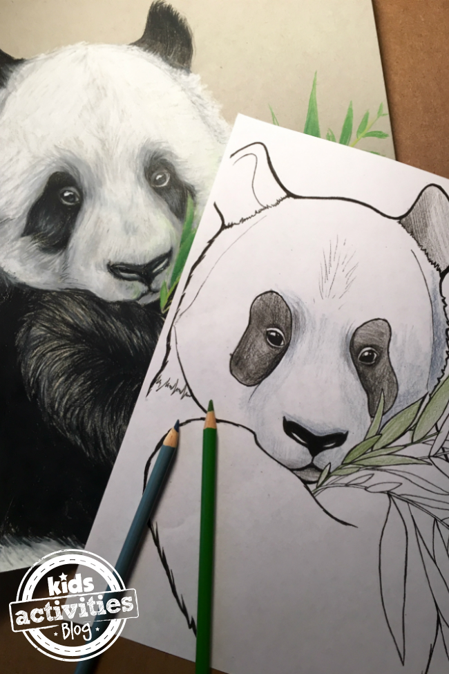 Panda coloring pages for kids kids activities blog