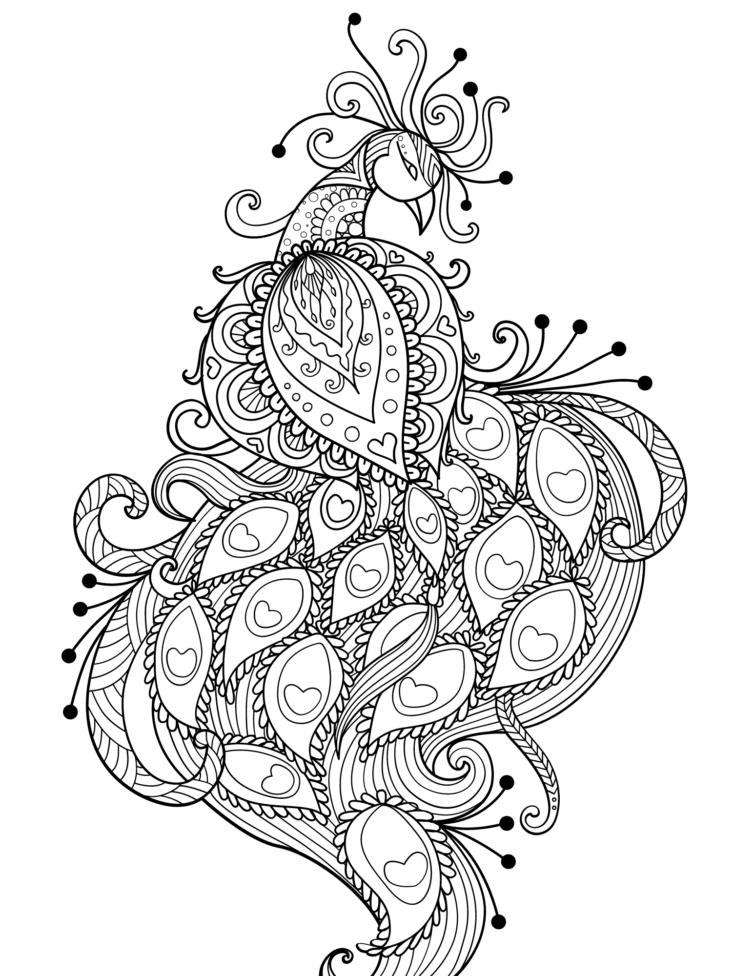 Perfect peacock coloring pages for kids and adults