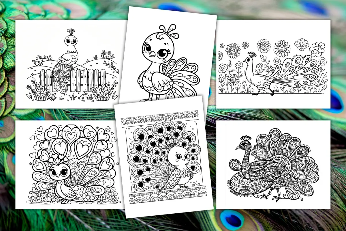 Free peacock coloring pages for kids