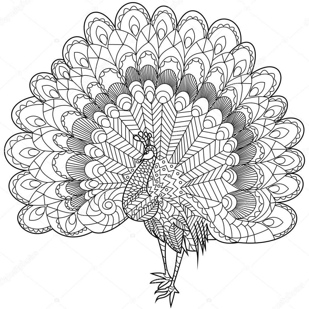 Peacock coloring vector for adults stock vector by toricheksgmail