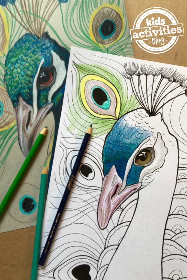 Best free peacock coloring pages print color includes video tutorial