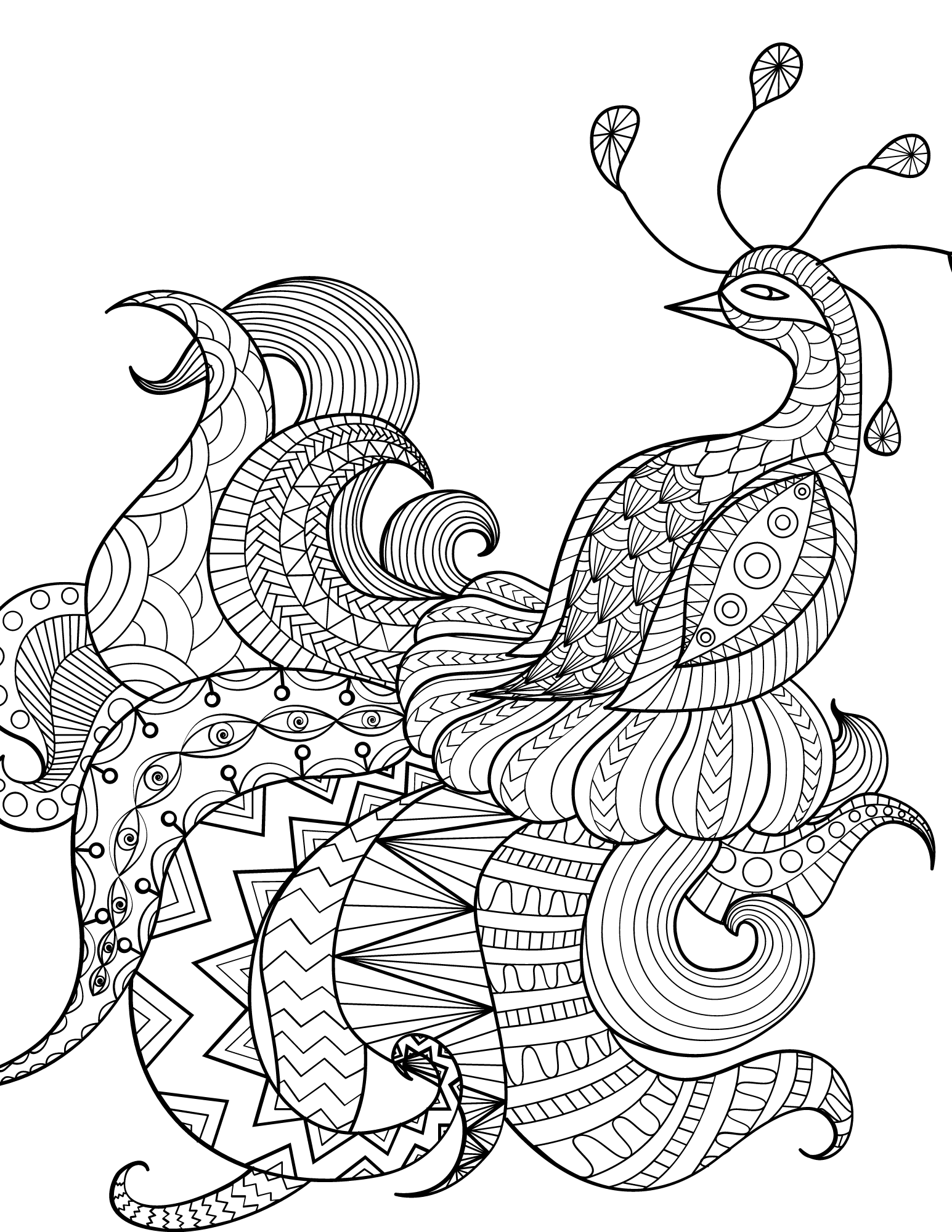 Perfect peacock coloring pages for kids and adults