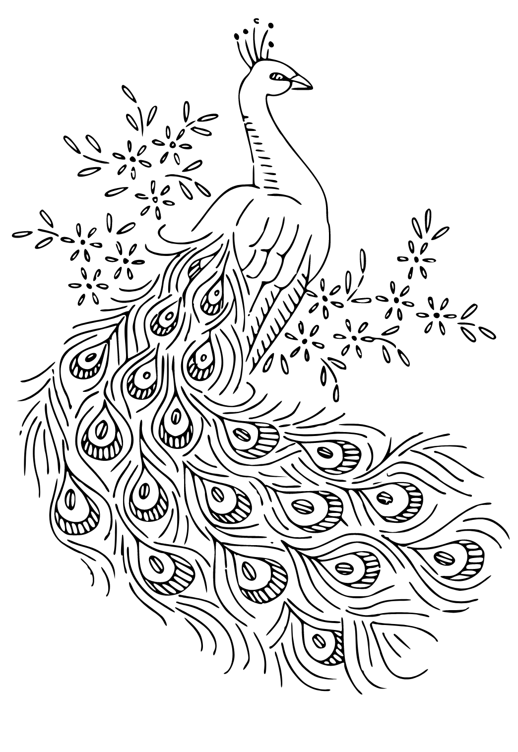 Free printable peacock real coloring page for adults and kids