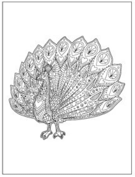 Peacock coloring pages with a title page download now