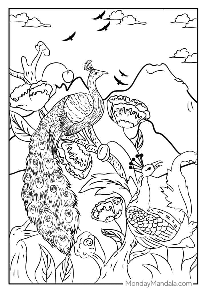 Peacock coloring pages free pdf printables