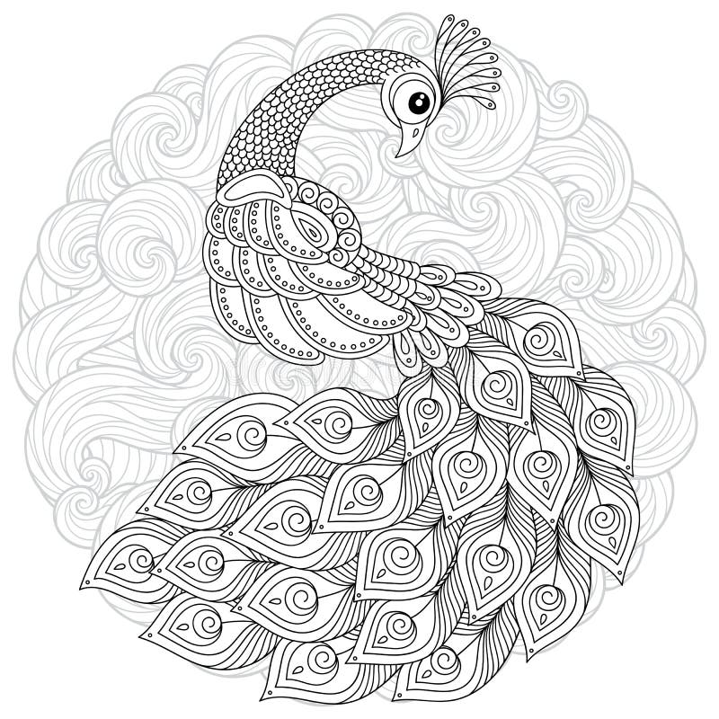 Peacock in zentangle style adult antistress coloring page stock vector